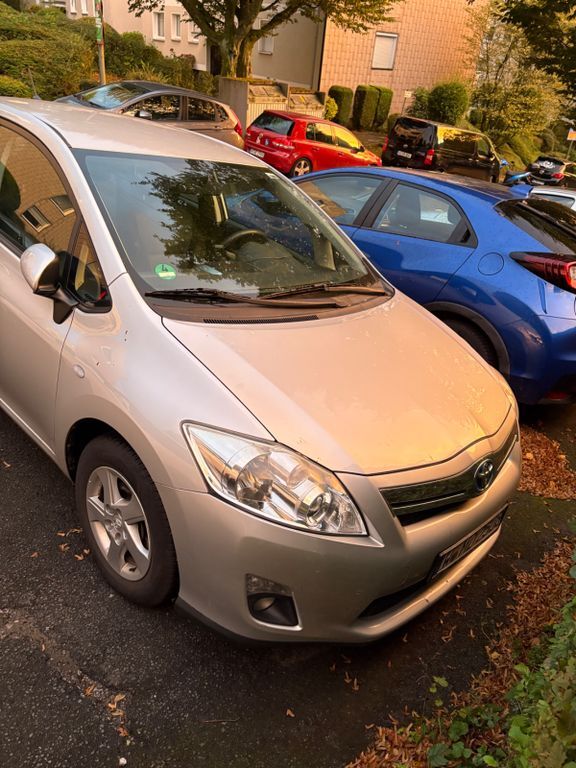 Auris