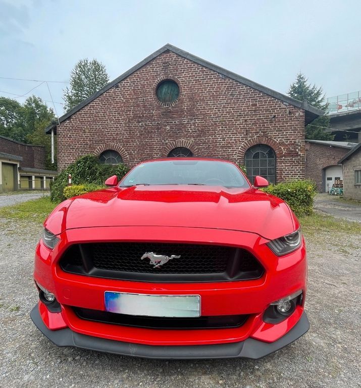Mustang