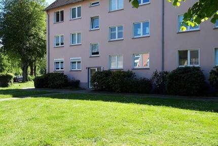 Wohnung Essen Stadtbezirk V - 2.5 Zimmer, 45 m&sup2;, 362&euro; | Angebot:25458834