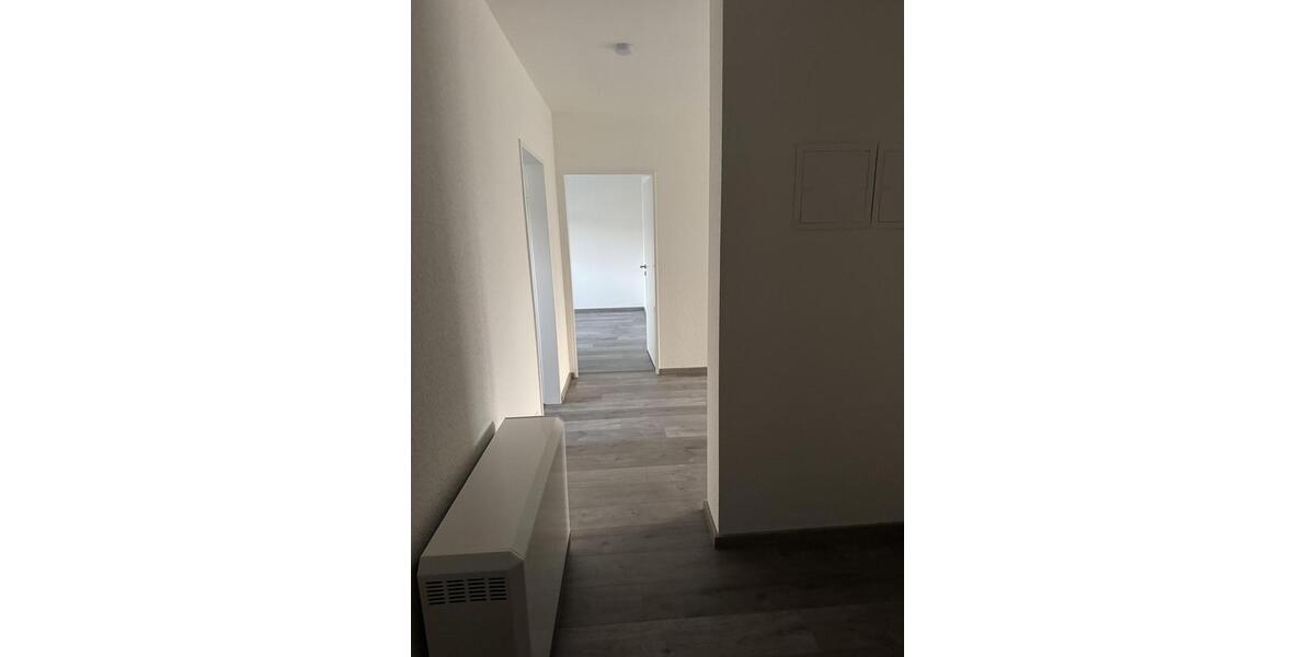 Frisch renovierte, geräumige 3 Zimmer Wohnung 3 zimmer