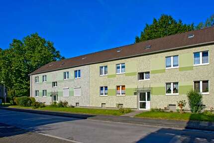 Wohnung Recklinghausen Grullbad - 3 Zimmer, 58 m&sup2;, 255&euro; | Angebot:27169086