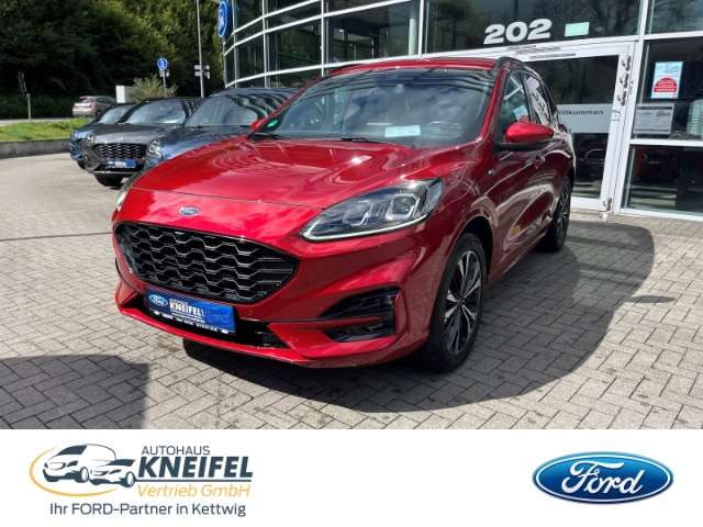 Kuga