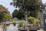 Terrassenwohnung Bochum Bochum-Südwest - 5 Zimmer, 125 m&sup2;, 409.000&euro; | Angebot:27457214