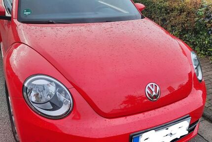 VW Beetle 93.000 km 9.690 &euro; Marl 45768