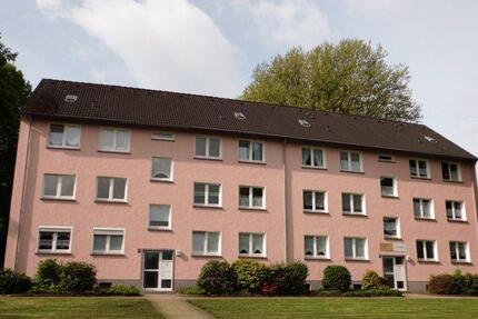 Wohnung Essen Stadtbezirk V - 2.5 Zimmer, 45 m&sup2;, 368&euro; | Angebot:26227984
