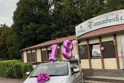 Opel Tigra 144.089 km 1.000 &euro; Voerde 46562