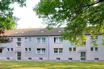 Wohnung Recklinghausen Hochlarmark - 3 Zimmer, 52 m&sup2;, 273&euro; | Angebot:27169085