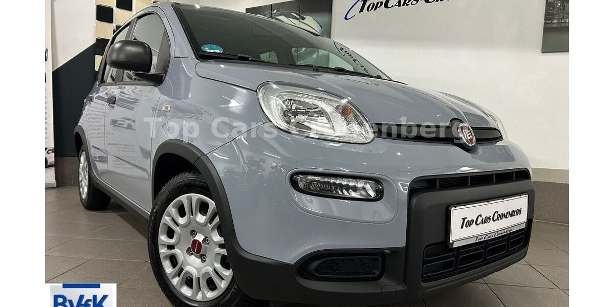 Fiat Panda 14.092 km 12.950 &euro; Wuppertal-Cronenberg 42349