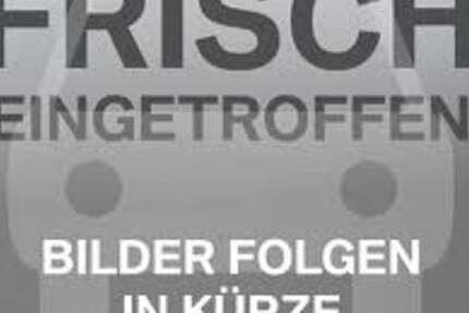 VW Polo 38.000 km 10.450 &euro; Mülheim 45473