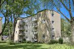 Etagenwohnung Moers - 3.5 Zimmer, 65 m&sup2;, 619&euro; | Angebot:26199767