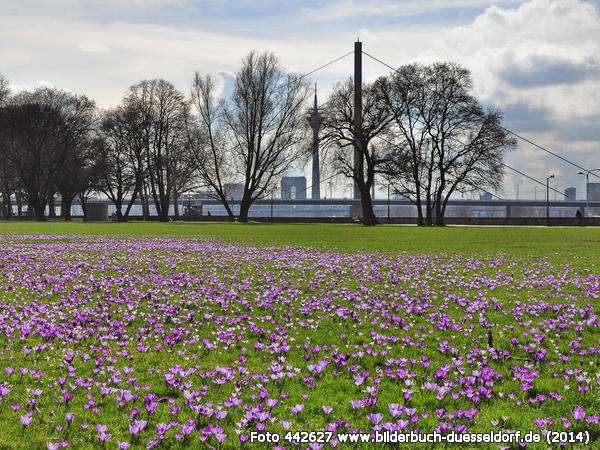 Haus zum Kaufen in Düsseldorf - Golzheim 12.000.000 € 800 m²