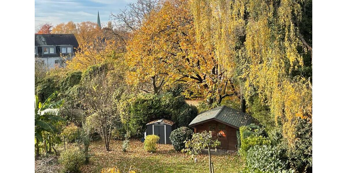 DG Wohnung renoviert- frei- bitte alles lesen❗️ 3.5 zimmer