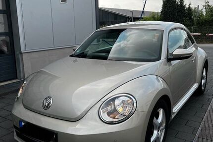 VW Beetle