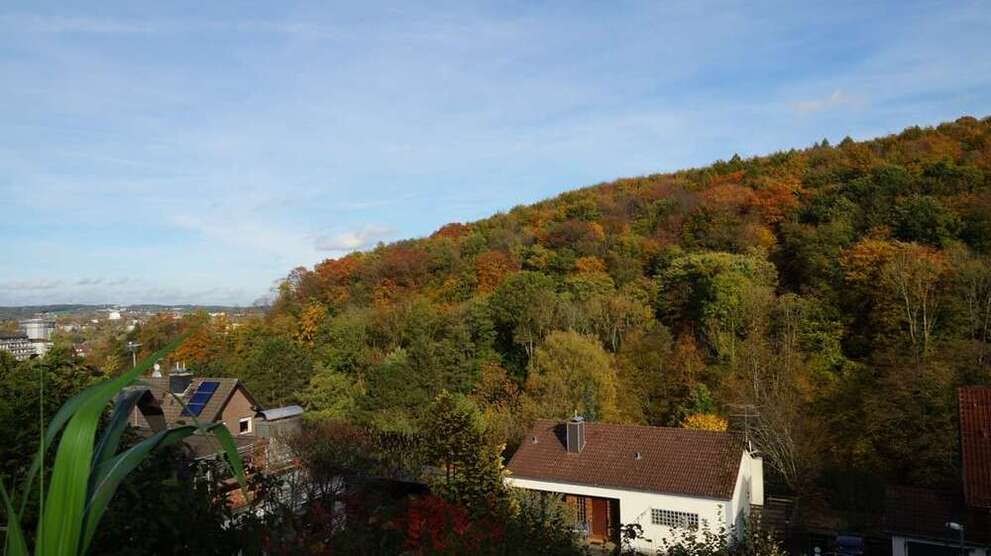 Grundstück zu verkaufen in Wuppertal 199.000 € 438 m²