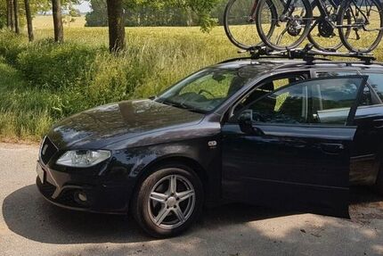 Seat Exeo