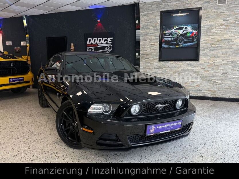 Mustang