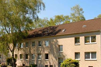 Wohnung Recklinghausen Hochlarmark - 3 Zimmer, 58 m&sup2;, 262&euro; | Angebot:27169054