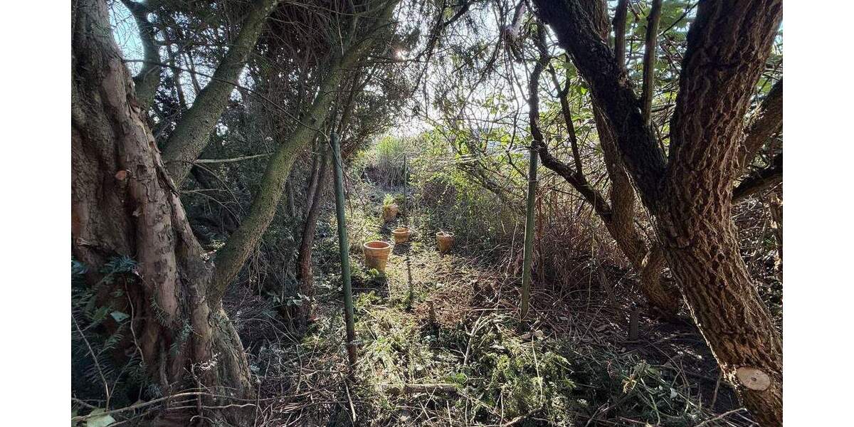 Reihenmittelhaus Duisburg Beeck - 4 Zimmer, 73 m&sup2;, 119.000&euro; | Angebot:25742311