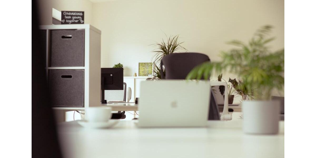 Flex Desk im Coworking Space der KS36 Kreativweide in Duisburg zimmer