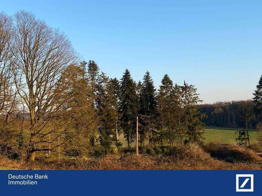 Grundstück zu verkaufen in Solingen 350.000 € 10700 m²