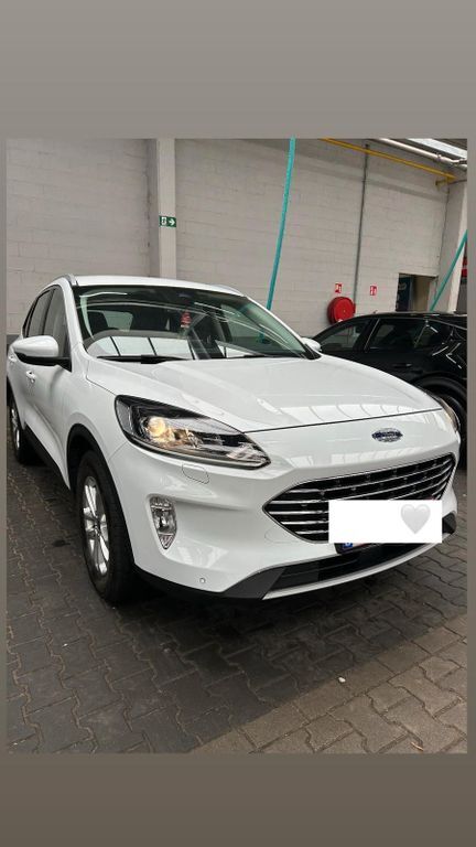 Kuga