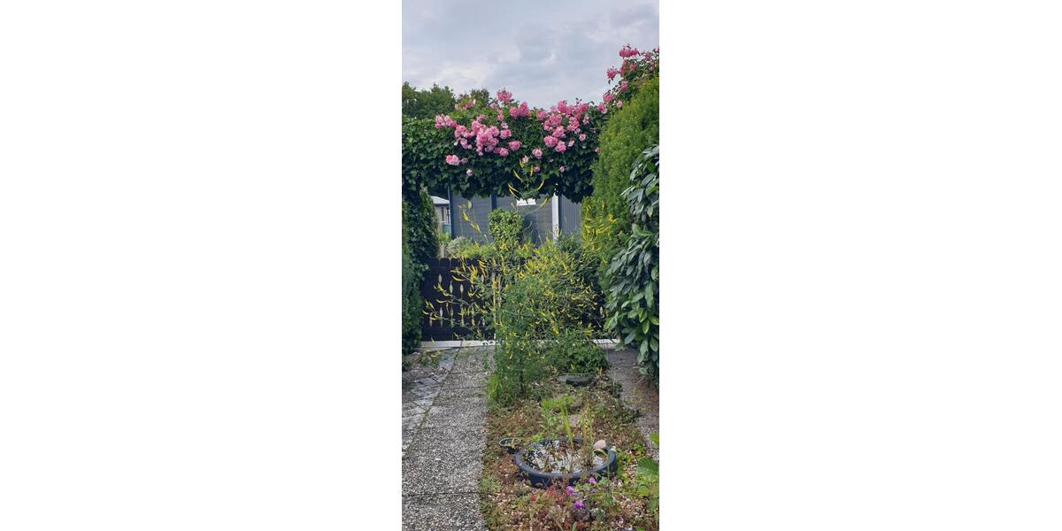 Einfamilienhaus Dorsten Altstadt - 2.5 Zimmer, 50 m&sup2;, 55.555&euro; | Angebot:27194847