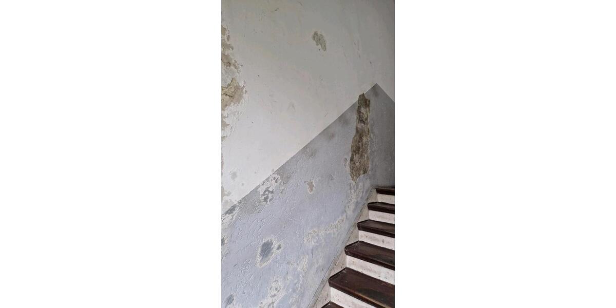 Top Kapitalanlage Mehrfamilienhaus zimmer