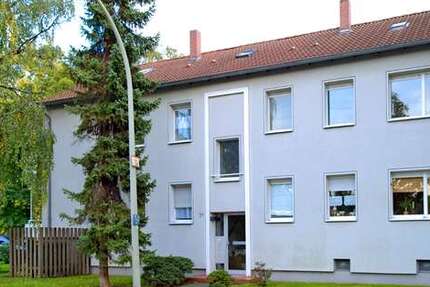 Wohnung zum Mieten in Duisburg 429 € 41 m² 2 zimmer