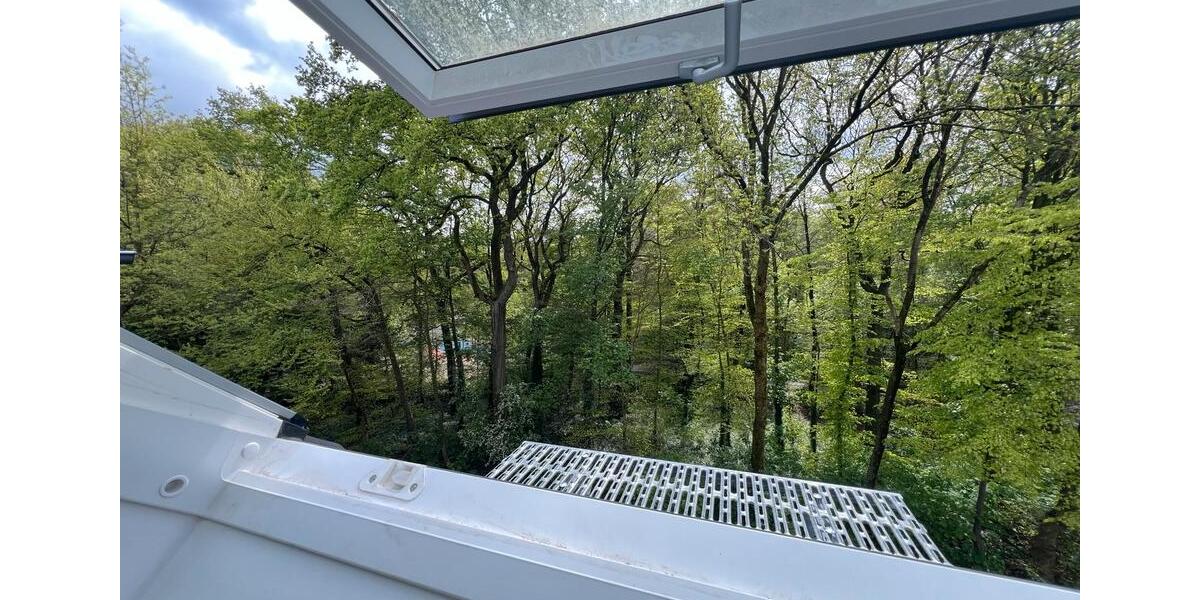 Modernisierte 1,5-Zimmer-Dachgeschosswohnung mit Waldblick 1.5 zimmer
