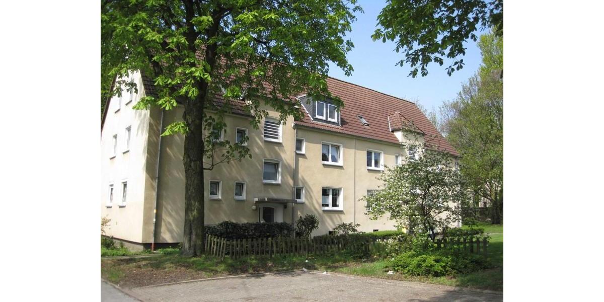 Erdgeschoßwohnung Gladbeck Brauck - 2.5 Zimmer, 44 m&sup2;, 383&euro; | Angebot:25679113