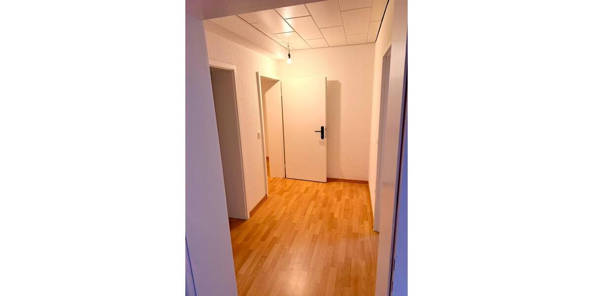 Wunderschöne, frisch renovierte Souterrain-Wohnung in Top-Lage 2 zimmer