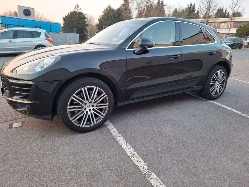 Macan