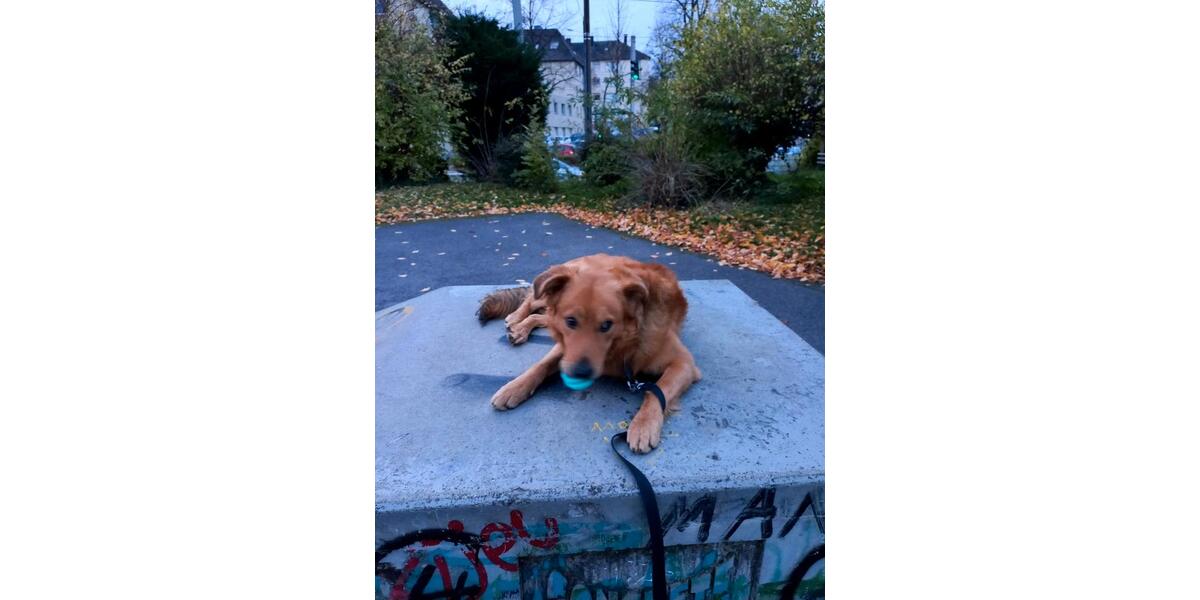 WG Gründung Wohnung zimmer