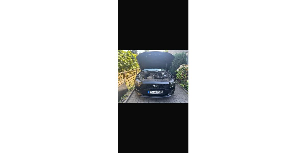 Ford Mustang 66.500 km 18.999 &euro; Marl 45772