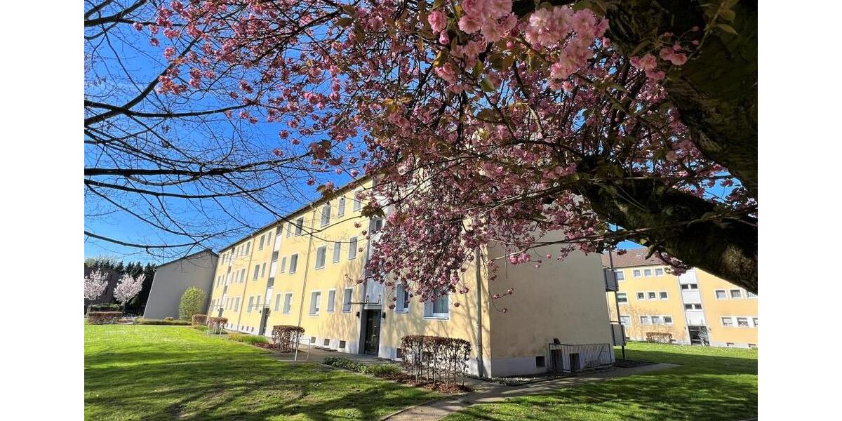 Erdgeschoßwohnung Duisburg Beeck - 2.5 Zimmer, 48 m&sup2;, 443&euro; | Angebot:26389099
