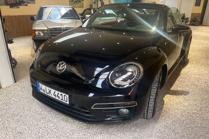 VW Beetle