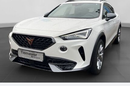 Cupra Formentor 29.873 km 27.990 &euro; Recklinghausen 45663