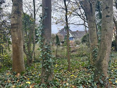 INVESTOREN UND BAUTRÄGER AUFGEPASST! - Grundstück Bochum Bochum-Nord | Angebot:24992041