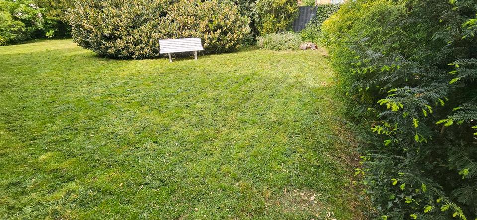 Etagenwohnung Duisburg Hamborn - 4 Zimmer, 110 m&sup2;, 1.350&euro; | Angebot:26355251