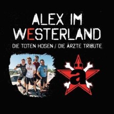 Alex im Westerland 09.01.2026 HIRSCH