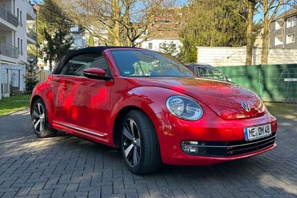 VW Beetle