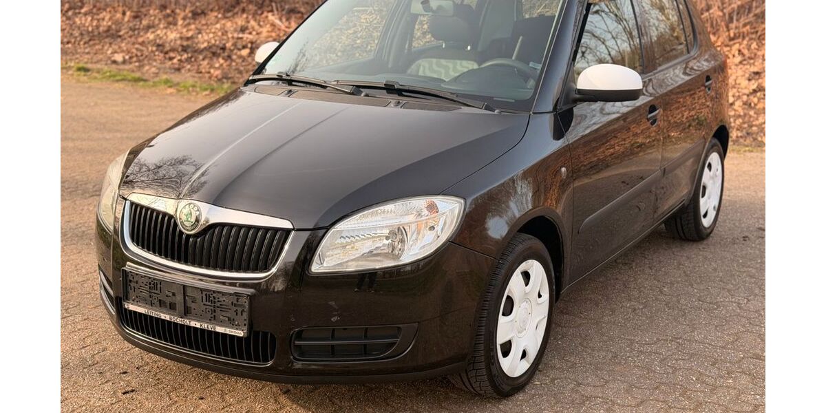 Skoda Fabia 186.650 km 2.399 &euro; Oberhausen 46045