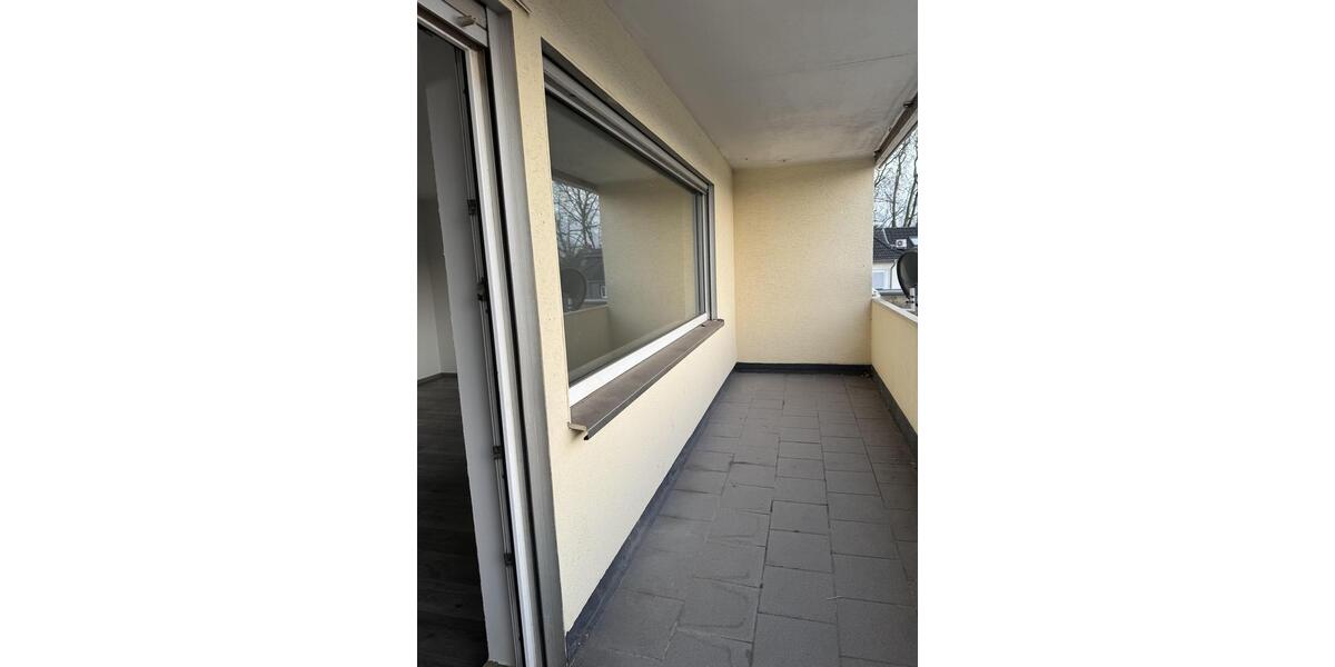 Frisch renovierte, geräumige 3 Zimmer Wohnung 3 zimmer