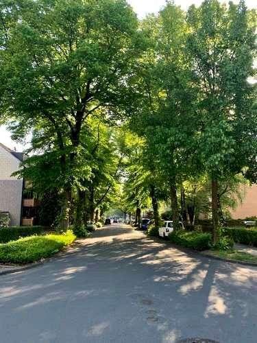 Etagenwohnung Essen Stadtbezirk IV - 1 Zimmer, 45 m&sup2;, 395&euro; | Angebot:24280196