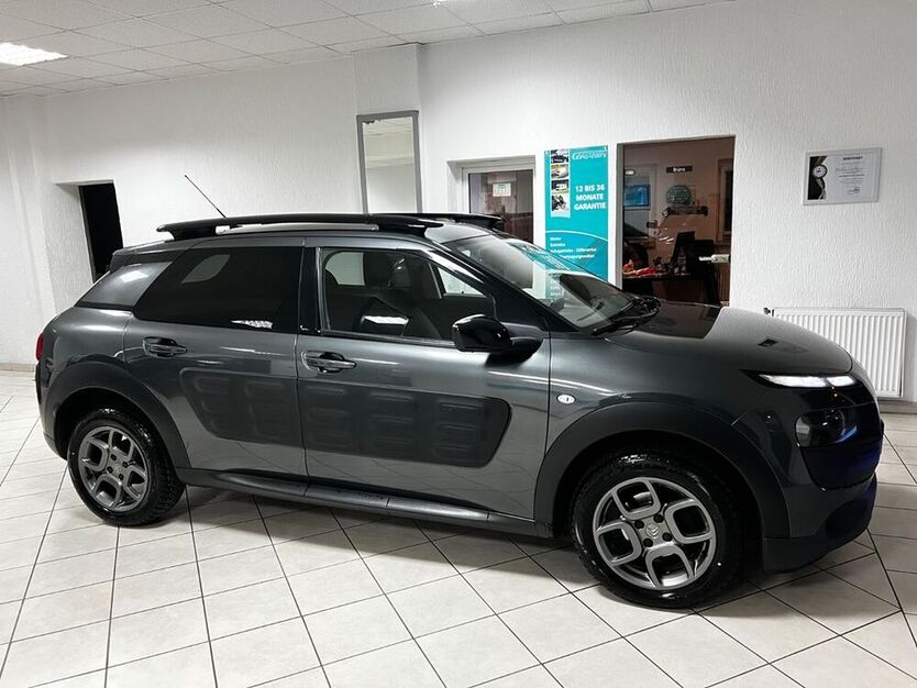 C4 Cactus
