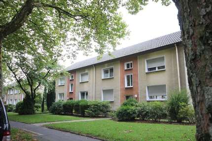 Wohnung zum Mieten in Gelsenkirchen 231 € 42 m²