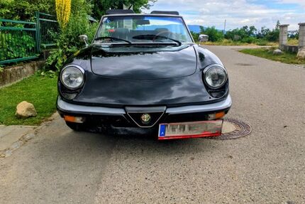 Alfa Romeo Type 115, Veloce 2000