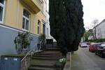 Etagenwohnung Mülheim an der Ruhr Mitte - 4 Zimmer, 118 m&sup2;, 1.100&euro; | Angebot:26930073
