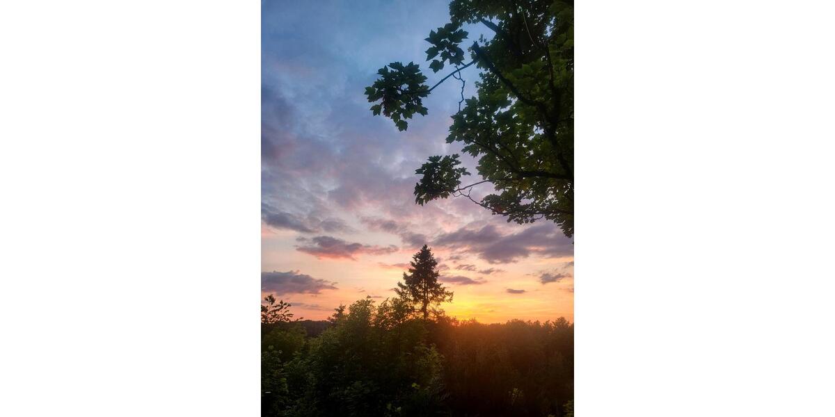 Erdgeschosswohnung mit Garten,Balkon und Stellplatz in guter Lage 2.5 zimmer