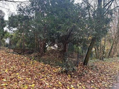 RUHIG UND IDYLLISCH FÜR NATURLIEBHABER - Grundstück Bochum Bochum-Nord | Angebot:24992100